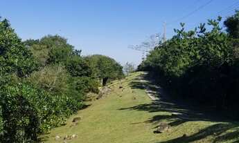 Imagem 5: TERRENO RESIDENCIAL em GAROPABA - SC, Praia do Silveira