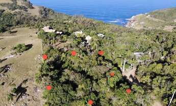 Imagem: TERRENO RESIDENCIAL em GAROPABA - SC, Praia