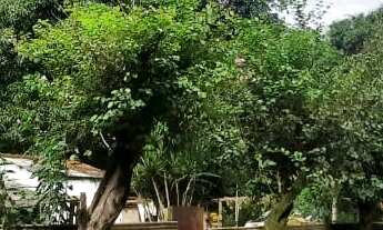 Imagem 3: CHACARA RESIDENCIAL em BARRA MANSA - RJ, VILA ORLANDELIA