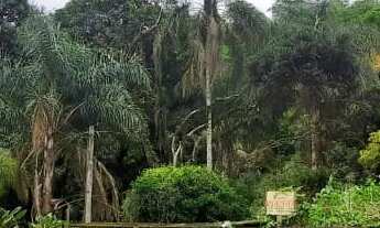 Imagem 5: CHACARA RESIDENCIAL em BARRA MANSA - RJ, VILA ORLANDELIA