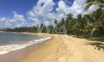 Imagem 3: TERRENO RESIDENCIAL em CAMAÇARI - BA, BUSCA VIDA