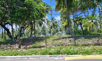 Imagem 5: TERRENO RESIDENCIAL em CAMAÇARI - BA, BUSCA VIDA