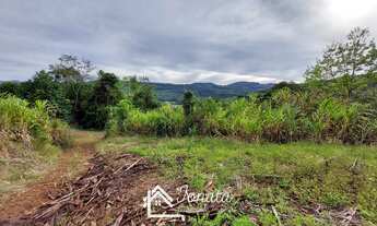 Imagem: AREA RURAL em FELIZ - RS, São Roque