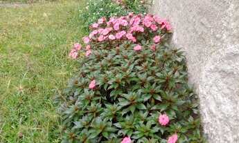 Imagem 3: SÍTIO RURAL em PARAIBUNA - SP, CENTRO