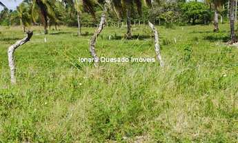 Imagem 2: Terreno na pista bem na entrada da cidade na estrada da Taiba