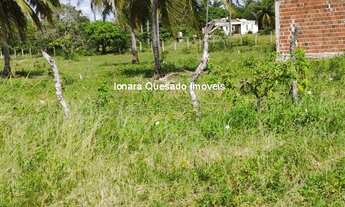 Imagem 3: Terreno na pista bem na entrada da cidade na estrada da Taiba
