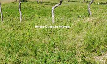 Imagem 5: Terreno na pista bem na entrada da cidade na estrada da Taiba