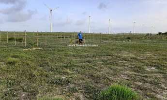 Imagem 4: Terreno plano vista mar no Morro do Chapéu com cerca e plantação!