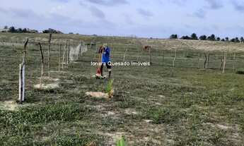 Imagem 5: Terreno plano vista mar no Morro do Chapéu com cerca e plantação!