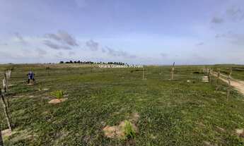 Imagem 6: Terreno plano vista mar no Morro do Chapéu com cerca e plantação!
