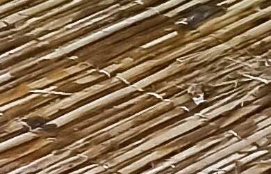 Imagem 7: CHACARA RURAL em Santo Amaro da Imperatriz - SC, Vargem do Braço