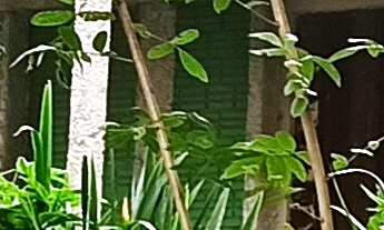 Imagem 6: TERRENO RURAL RURAL em IMARUÍ - SC, Itaguaçu