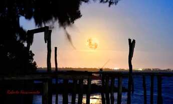 Imagem 2: TERRENO RURAL RURAL em IMARUÍ - SC, Itaguaçu