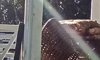 Imagem 4: Sítio com CACHOEIRA Santo Amaro da Imperatriz