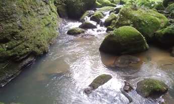 Imagem: SITIO RURAL em ALFREDO WAGNER - SC, Limeira