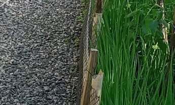 Imagem 5: CHACARA RURAL em GARUVA - SC, Baraharas