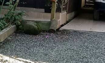 Imagem: CHACARA RURAL em GARUVA - SC, Baraharas