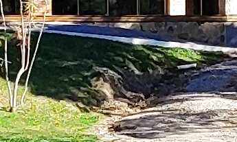 Imagem: Terreno no Condomínio Rural