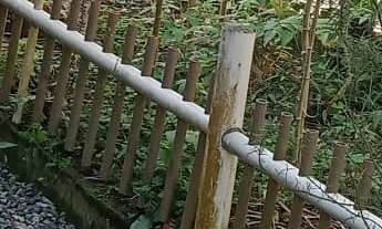 Imagem 4: CHACARA RURAL em GARUVA - SC, Baraharas