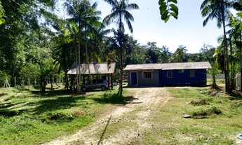 Imagem 2: CHACARA RURAL em GARUVA - SC, Barrancos