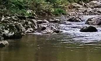 Imagem: SITIO RURAL em ANITÁPOLIS - SC, Rio do