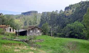 Imagem: SITIO RURAL em ALFREDO WAGNER - SC, Guarda