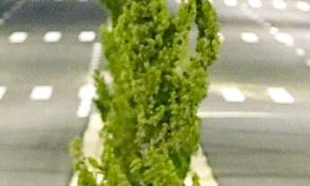 Imagem 4: TERRENO RESIDENCIAL em INDAIATUBA - SP, VILA RUBENS