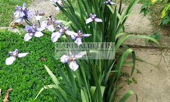 Imagem 6: 3 dormitórios, 1 suítes, 4 banheiro, 6 vagas na garagem, 326M² de Área Construída