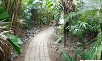 Imagem 4: Casa na Rua Firmo Ribeiro Dutra, com 738m² - Barra da Tijuca