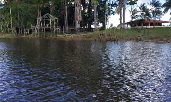 Imagem 2: CASAL IMÓVEIS VENDE FAZENDA SÃO DOMINGOS DO CAPIM 400 HECTARES