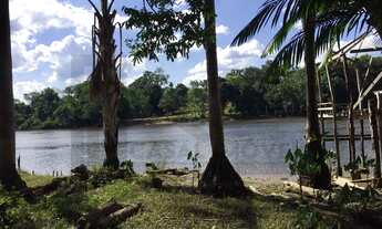 Imagem 3: CASAL IMÓVEIS VENDE FAZENDA SÃO DOMINGOS DO CAPIM 400 HECTARES