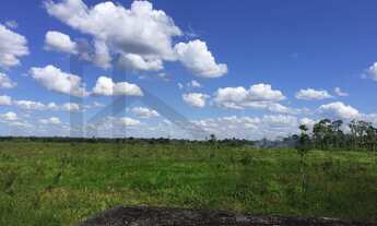 Imagem 4: CASAL IMÓVEIS VENDE FAZENDA SÃO DOMINGOS DO CAPIM 400 HECTARES