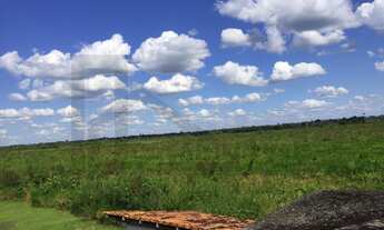 Imagem 7: CASAL IMÓVEIS VENDE FAZENDA SÃO DOMINGOS DO CAPIM 400 HECTARES