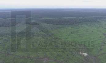 Imagem: CASAL IMÓVEIS VENDE FAZENDA GOIANÉSIA