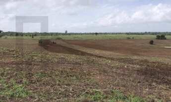Imagem 5: CASAL IMÓVEIS VENDE FAZENDA GOIANÉSIA DO PARÁ COM 3.533 HECTARES