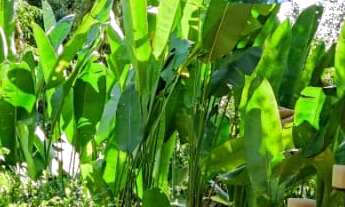 Imagem 5: Casa Alto Padrão Praia da Armação com serviços- locação TEMPORADA - Vista Panorâmica Inf.