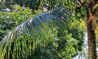 Imagem 2: Casa Alto Padrão Praia da Armação com serviços- locação TEMPORADA - Vista Panorâmica Inf.