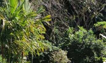 Imagem 3: Casa Alto Padrão Praia da Armação com serviços- locação TEMPORADA - Vista Panorâmica Inf.