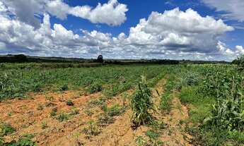 Imagem 2: Terreno em Brasilândia Rodeador- Alexandre Gusmão -P/ Chacara