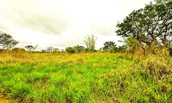 Imagem 4: Chácara 20.000m² - Usina Solar - Saia Velha