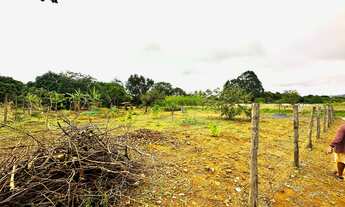 Imagem 3: Chácara 20.000m² - Usina Solar - Saia Velha