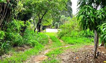 Imagem 7: Chácara 20.000m² - Usina Solar - Saia Velha