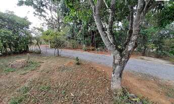 Imagem 6: CHÁCARA FORMADA - 9 KM DO GAMA - 15.000M2 - JARDIM LAGO AZUL - NOVO GAMA