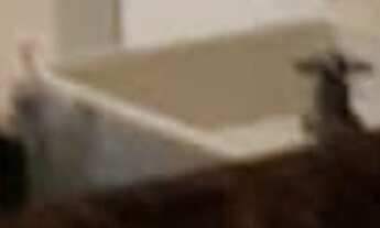 Imagem 6: APARTAMENTO RESIDENCIAL em RIO DE JANEIRO - RJ, COPACABANA