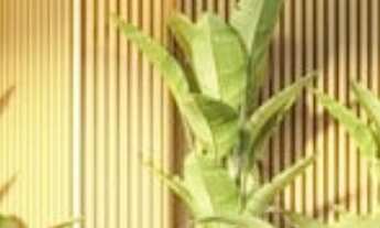 Imagem 6: COBERTURA RESIDENCIAL em Rio de Janeiro - RJ, Barra da Tijuca