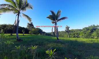 Imagem 3: Área com 15 hectares, com linda cachoeira particular, nascentes, vista para o mar e para a