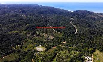 Imagem 3: Sítio com 45 mil m², 2 casas novas, infraestrutura completa, rico em água e a apenas 5 min