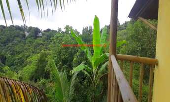 Imagem 4: Imóvel com 6 dormitórios, vista para o mar e para a mata, Itacaré Bahia