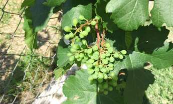 Imagem 7: Casa em Condomínio na represa de Piracaia