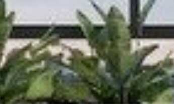 Imagem 5: O Oscar Itaim é um projeto de torre única, com plantas amplas e espaçosas de 142m² a 246m²